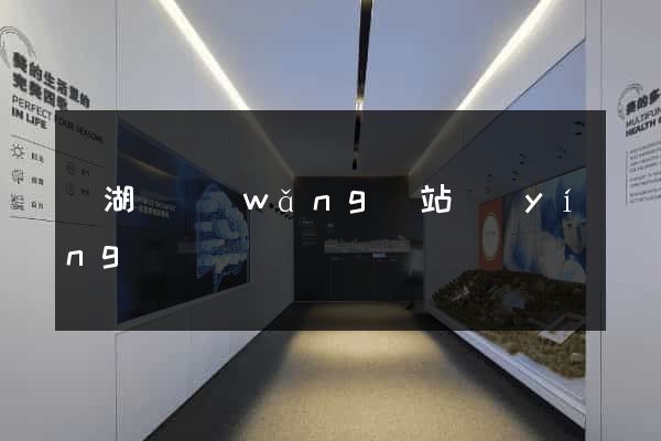 蕪湖縣網(wǎng)站營(yíng)銷