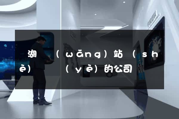 蕪湖縣網(wǎng)站設(shè)計專業(yè)的公司