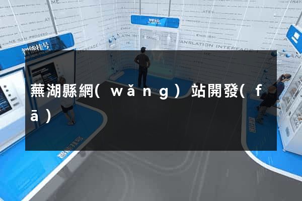 蕪湖縣網(wǎng)站開發(fā)