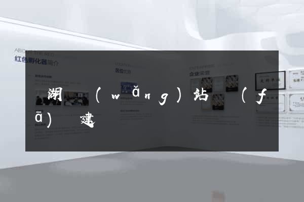 蕪湖縣網(wǎng)站開發(fā)與建設