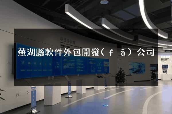 蕪湖縣軟件外包開發(fā)公司