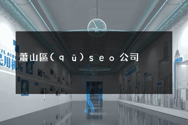 蕭山區(qū)seo公司