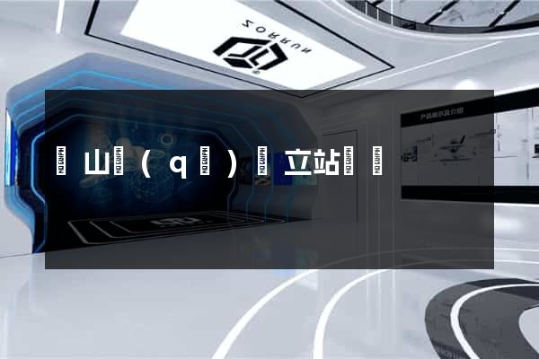 蕭山區(qū)獨立站運營