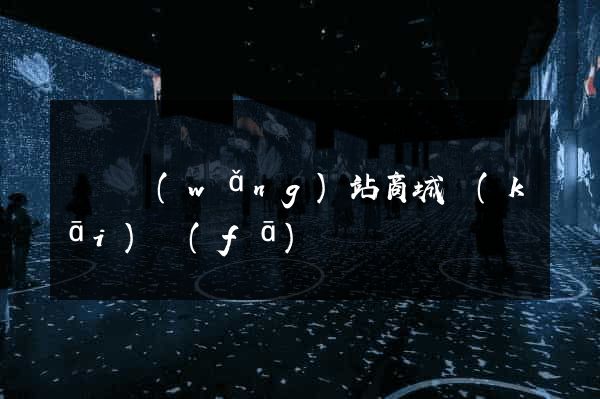 蕭縣網(wǎng)站商城開(kāi)發(fā)