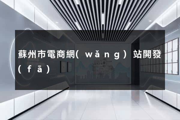 蘇州市電商網(wǎng)站開發(fā)