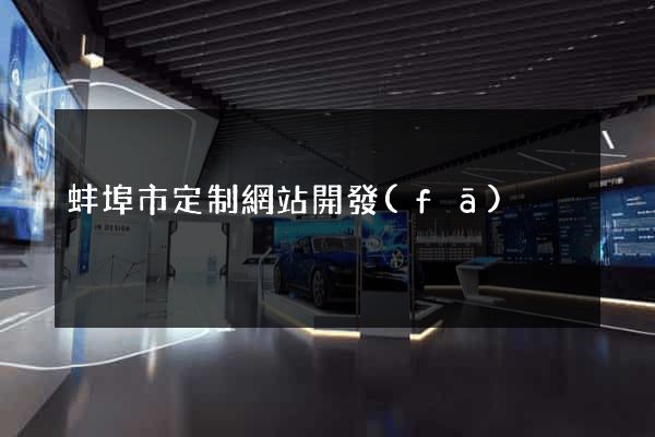 蚌埠市定制網站開發(fā)