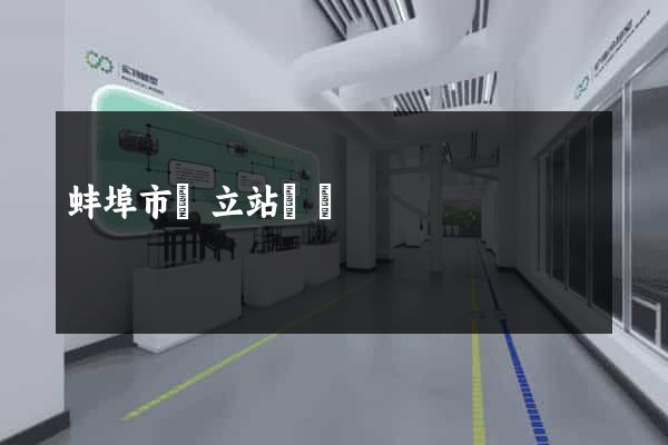 蚌埠市獨立站運營
