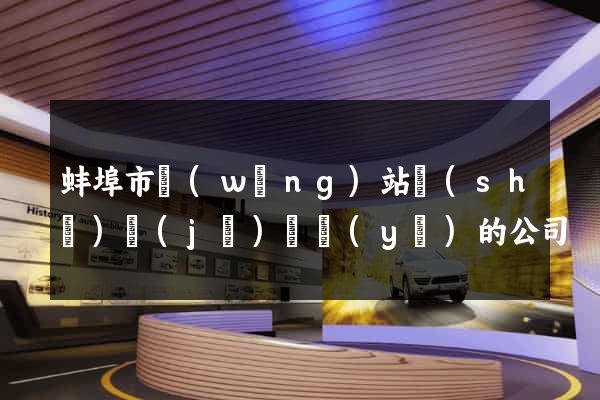 蚌埠市網(wǎng)站設(shè)計(jì)專業(yè)的公司