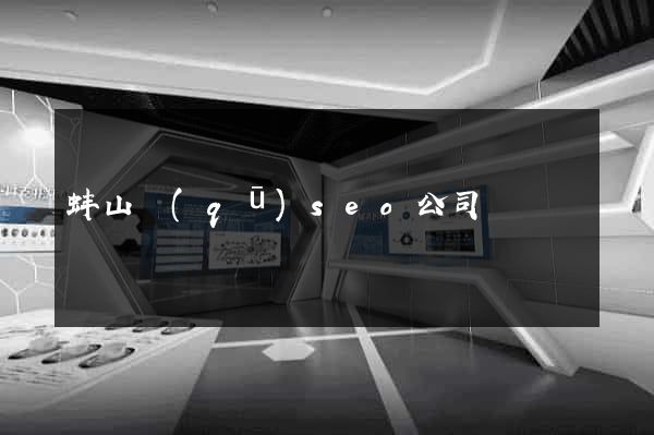 蚌山區(qū)seo公司