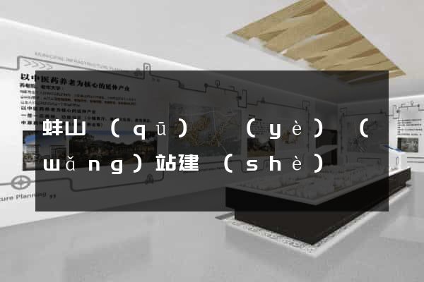 蚌山區(qū)專業(yè)網(wǎng)站建設(shè)
