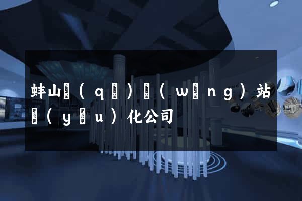 蚌山區(qū)網(wǎng)站優(yōu)化公司