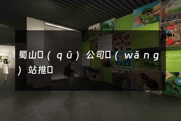 蜀山區(qū)公司網(wǎng)站推廣