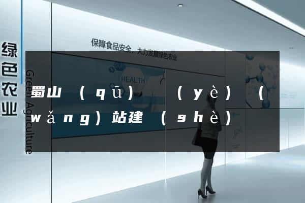 蜀山區(qū)專業(yè)網(wǎng)站建設(shè)
