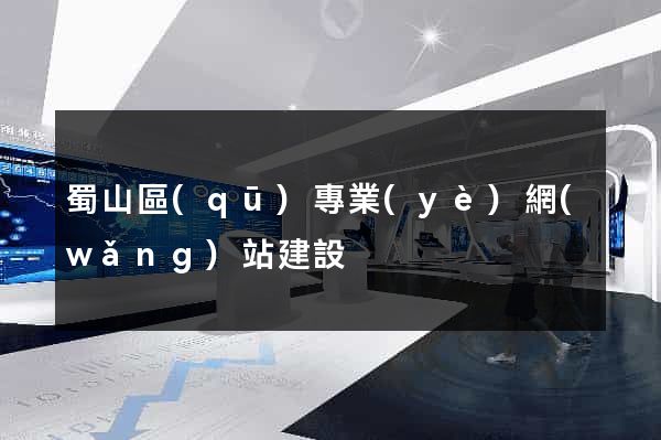 蜀山區(qū)專業(yè)網(wǎng)站建設