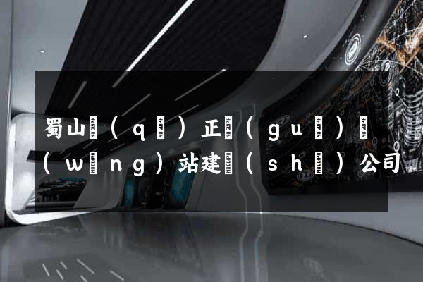 蜀山區(qū)正規(guī)網(wǎng)站建設(shè)公司