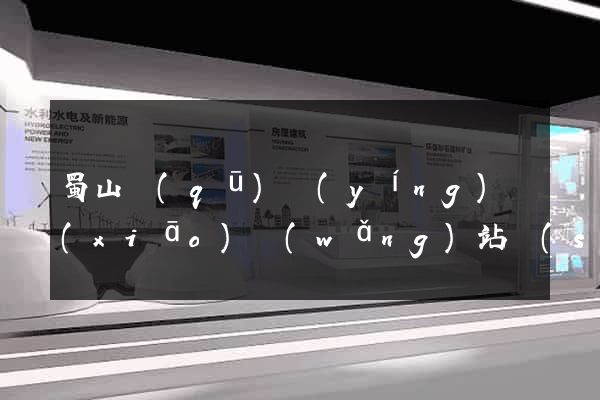 蜀山區(qū)營(yíng)銷(xiāo)網(wǎng)站設(shè)計(jì)