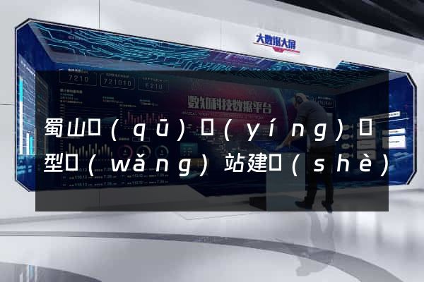 蜀山區(qū)營(yíng)銷型網(wǎng)站建設(shè)