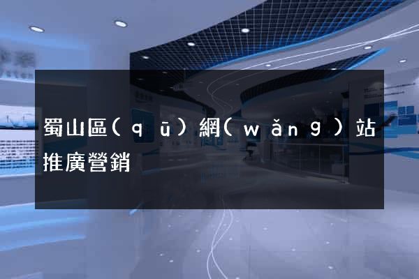 蜀山區(qū)網(wǎng)站推廣營銷