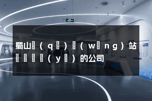蜀山區(qū)網(wǎng)站設計專業(yè)的公司