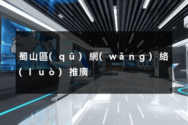 蜀山區(qū)網(wǎng)絡(luò)推廣