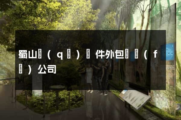 蜀山區(qū)軟件外包開發(fā)公司
