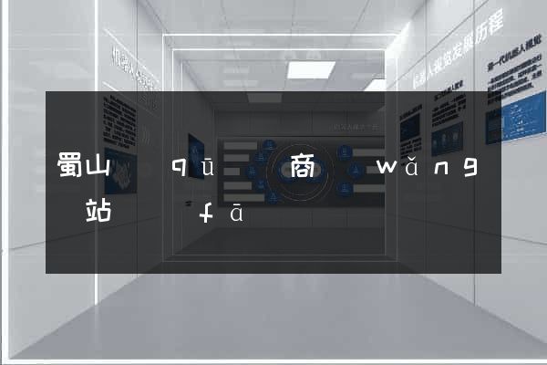 蜀山區(qū)電商網(wǎng)站開發(fā)