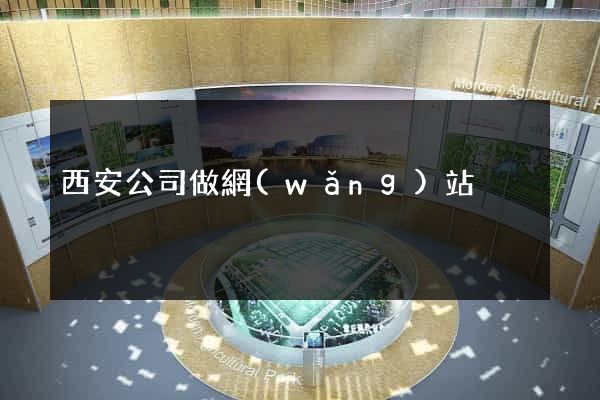 西安公司做網(wǎng)站