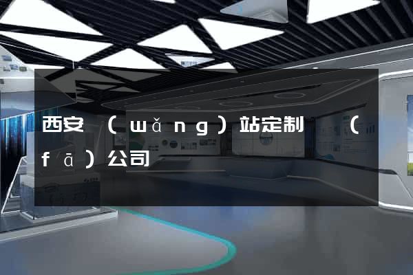 西安網(wǎng)站定制開發(fā)公司