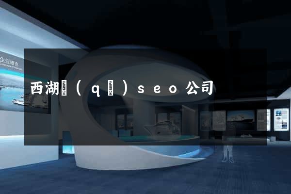西湖區(qū)seo公司