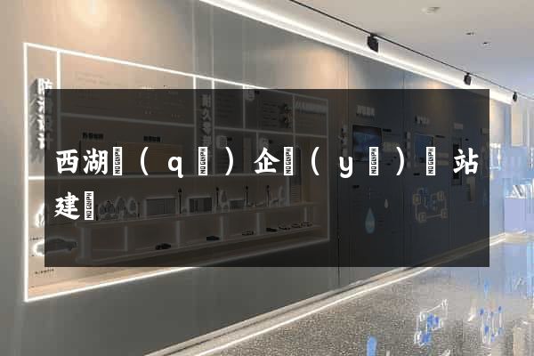 西湖區(qū)企業(yè)網站建設