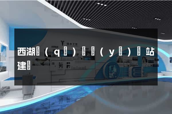西湖區(qū)專業(yè)網站建設