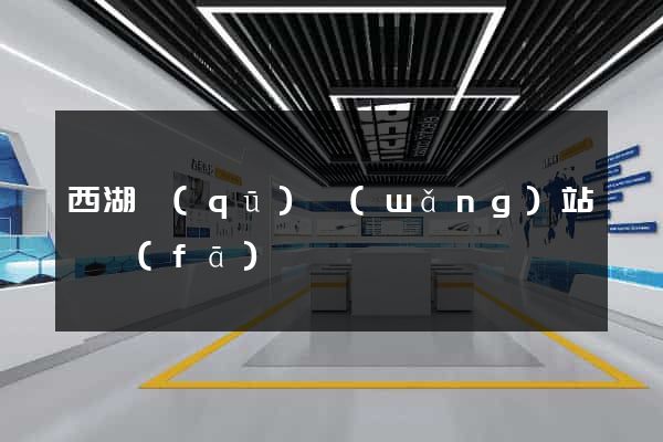 西湖區(qū)網(wǎng)站開發(fā)