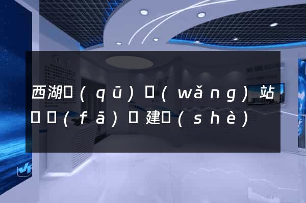 西湖區(qū)網(wǎng)站開發(fā)與建設(shè)