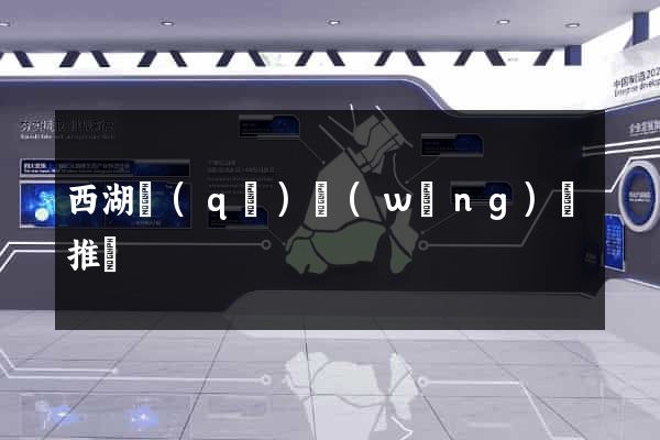 西湖區(qū)網(wǎng)絡推廣