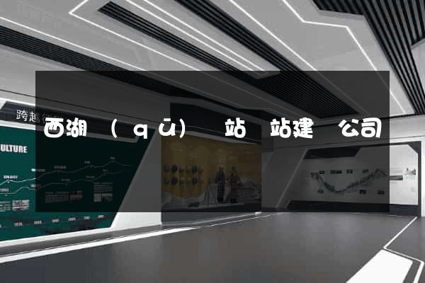 西湖區(qū)網站網站建設公司