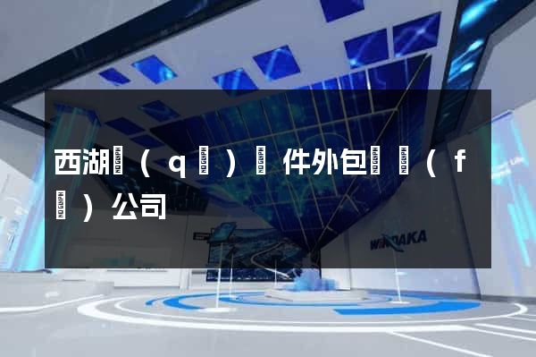 西湖區(qū)軟件外包開發(fā)公司
