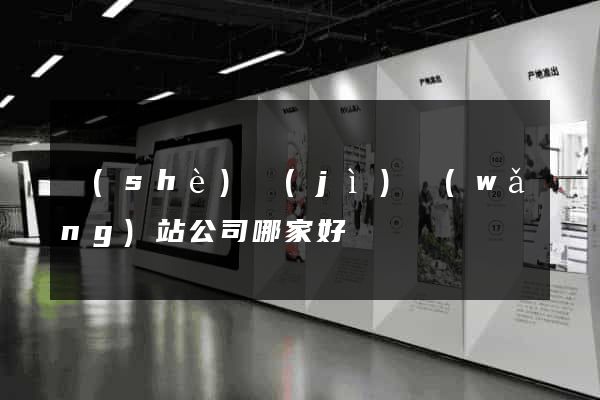 設(shè)計(jì)網(wǎng)站公司哪家好