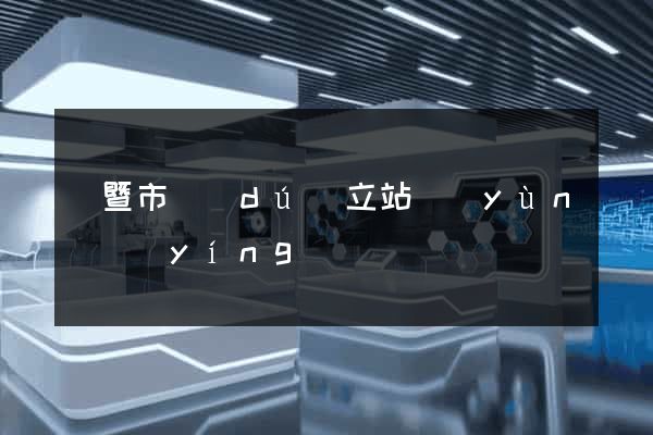 諸暨市獨(dú)立站運(yùn)營(yíng)