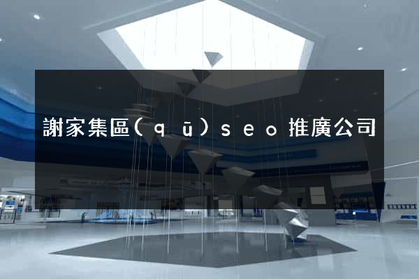 謝家集區(qū)seo推廣公司