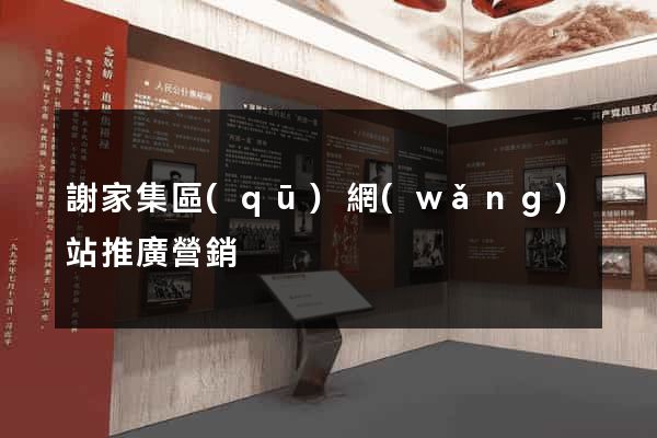 謝家集區(qū)網(wǎng)站推廣營銷