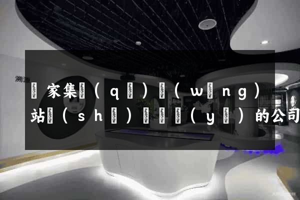 謝家集區(qū)網(wǎng)站設(shè)計專業(yè)的公司