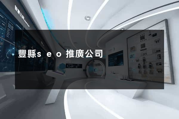 豐縣seo推廣公司
