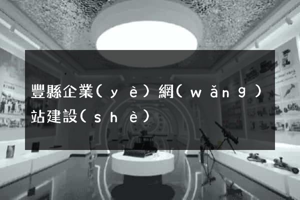 豐縣企業(yè)網(wǎng)站建設(shè)