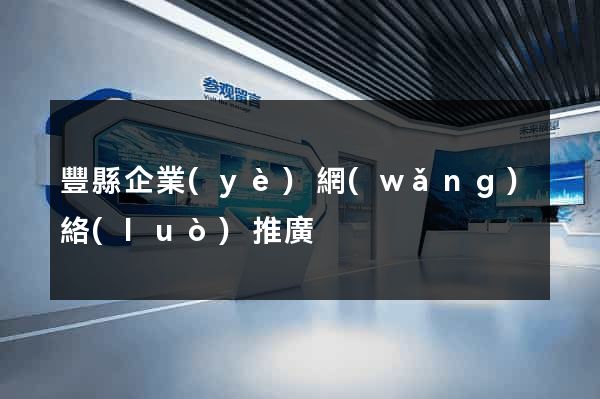 豐縣企業(yè)網(wǎng)絡(luò)推廣