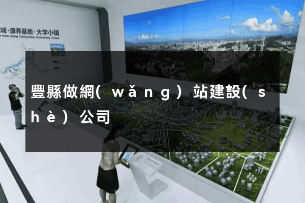 豐縣做網(wǎng)站建設(shè)公司