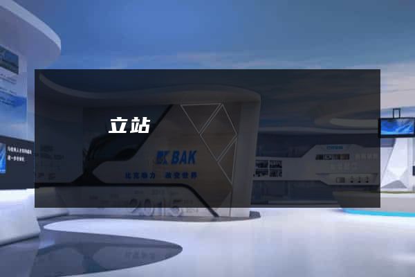 豐縣獨立站運營