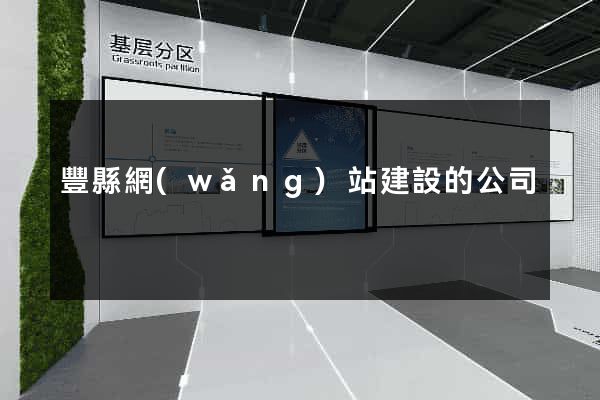 豐縣網(wǎng)站建設的公司