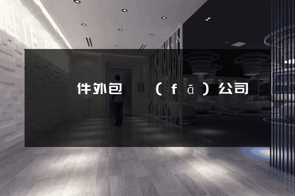 豐縣軟件外包開發(fā)公司