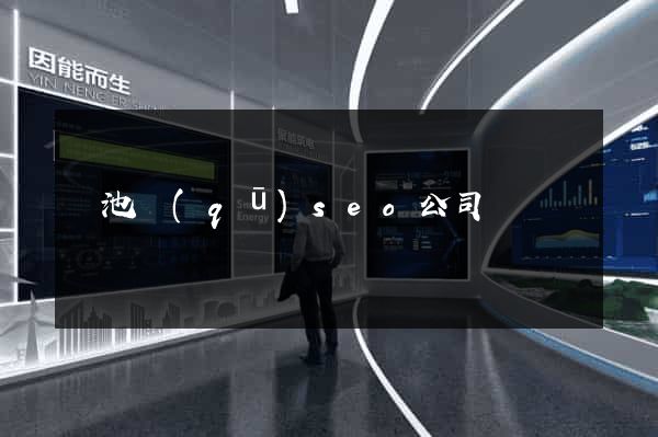 貴池區(qū)seo公司