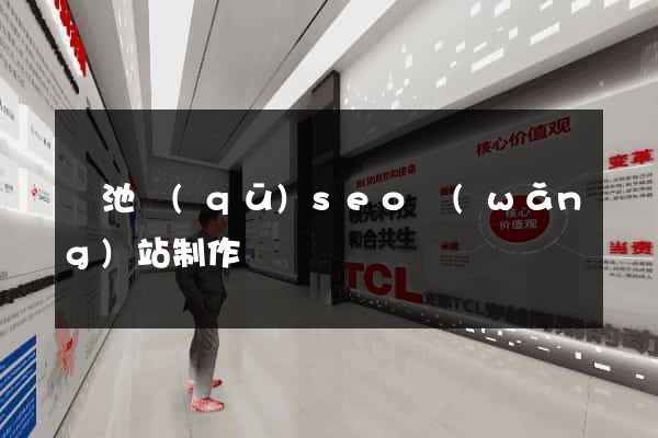 貴池區(qū)seo網(wǎng)站制作